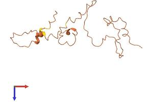 AlphaFold protein structure predicition of Human Recombinant KRTAP9-8 Protein, UniprotID Q9BYQ0