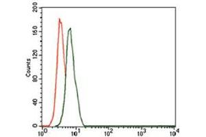 Image no. 4 for anti-CD59 (CD59) antibody (ABIN1491388) (CD59 抗体)