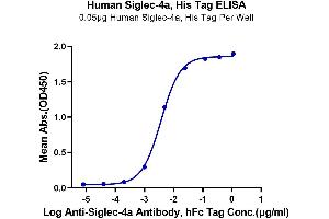 ELISA image for Myelin Associated Glycoprotein (MAG) (AA 20-516) protein (His tag) (ABIN7275225)