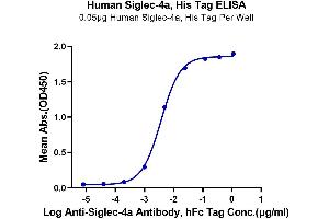 Immobilized Human Siglec-4a, His Tag at 0. (MAG Protein (AA 20-516) (His tag))