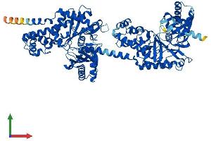 AlphaFold protein structure predicition of Human Recombinant HK1 Protein, UniprotID P19367