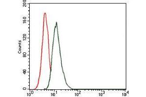 Flow cytometric analysis of MCF-7 cells using THPO mouse mAb (green) and negative control (red). (Thrombopoietin 抗体)