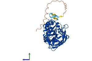 Protein Structure (PS) image for Protein Arginine Methyltransferase 1 (PRMT1) (AA 1-371) protein (His tag) (ABIN7565087)