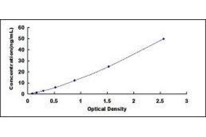 Typical standard curve (CAPN1 ELISA 试剂盒)