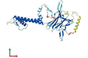Protein Structure (PS) image for Potassium Inwardly-Rectifying Channel, Subfamily J, Member 10 (KCNJ10) (AA 1-379) protein (His tag) (ABIN7554261)
