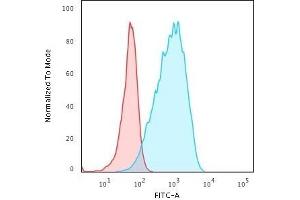 Flow Cytometric Analysis of Raji cells HLA-DP Rabbit Recombinant Monoclonal Antibody (HLA-DPB1/2862R) followed by goat anti-Rabbit IgG-CF488 (Blue); Isotype Control (Red). (Recombinant HLA-DPB1 抗体)