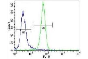 NRAS antibody flow cytometric analysis of NCI-H460 cells (green) compared to a negative control (blue). (GTPase NRas 抗体  (AA 72-101))