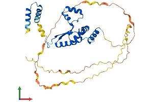 Protein Structure (PS) image for KH Domain Containing, RNA Binding, Signal Transduction Associated 2 (KHDRBS2) (AA 1-349) protein (His tag) (ABIN7548710)