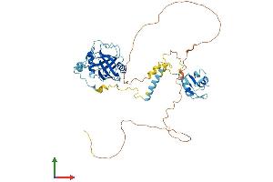 Protein Structure (PS) image for Peptidylprolyl Isomerase (Cyclophilin)-Like 4 (PPIL4) (AA 1-492) protein (His tag) (ABIN7550885)