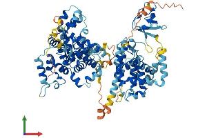 AlphaFold protein structure predicition of Human Recombinant SGSM3 Protein, UniprotID Q96HU1 (SGSM3 Protein (AA 1-749) (His tag))