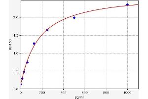 Interleukin 13 (IL13) ELISA Kit