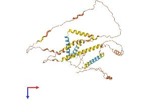 Nuclear Pore Complex Interacting Protein Family, Member B6 (NPIPB6) (AA 1-425) protein (His tag)