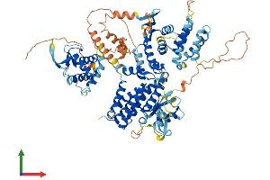 Protein Structure (PS) image for Rap Guanine Nucleotide Exchange Factor (GEF) 5 (RAPGEF5) (AA 1-814) protein (His tag) (ABIN7559086)