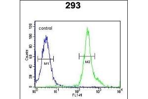 TSN3 Antibody (Center) (ABIN651749 and ABIN2840386) flow cytometric analysis of 293 cells (right histogram) comred to a negative control cell (left histogram). (Tetraspanin 3 抗体  (AA 90-117))