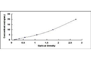 Typical standard curve (RAB7A ELISA 试剂盒)