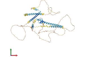 Protein Structure (PS) image for GATA Zinc Finger Domain Containing 2B (GATAD2B) (AA 1-594) protein (His tag) (ABIN7559932)