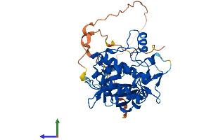 Protein Structure (PS) image for Tribbles Pseudokinase 2 (TRIB2) (AA 1-343) protein (His tag) (ABIN7544724)