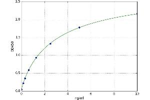 Calpain 2, (M/II) Large Subunit (CAPN2) ELISA Kit