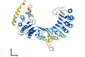 AlphaFold protein structure predicition of Human Recombinant PRAMEF10 Protein, UniprotID O60809