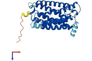 ELOVL1 Protein (AA 1-279) (His tag)