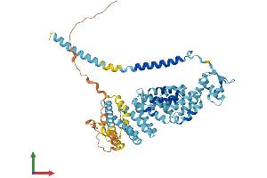 Protein Structure (PS) image for Proteasome (Prosome, Macropain) 26S Subunit, Non-ATPase, 3 (PSMD3) (AA 1-530) protein (His tag) (ABIN7562878)