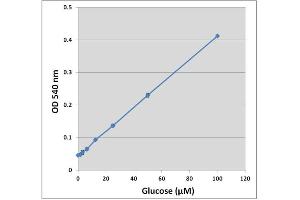 Biochemical Assay (BCA) image for Glucose Assay Kit (Colorimetric) (ABIN5067615)