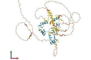 AlphaFold protein structure predicition of Mouse Recombinant Ikzf1 Protein, UniprotID Q03267