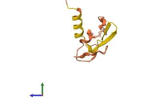 AlphaFold protein structure predicition of Human Recombinant TTTY12 Protein, UniprotID Q9BZ98