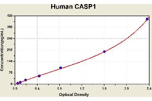 Diagramm of the ELISA kit to detect Human CASP1with the optical density on the x-axis and the concentration on the y-axis. (Caspase 1 ELISA 试剂盒)