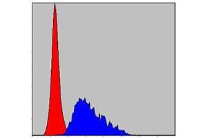 Flow cytometric analysis of HepG2 cells using FGG mouse mAb (blue) and negative control (red). (FGG 抗体)