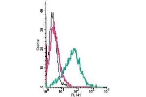 Cell surface detection of GPR39 by indirect flow cytometry in live intact human MEG-01 megakaryocytic leukemia cells: (black line) Cells. (GPR39 抗体  (Extracellular))