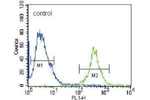 Flow Cytometry (FACS) image for anti-Fyn-Related Kinase (FRK) antibody (ABIN3003444) (FRK 抗体)