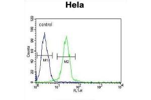 Flow Cytometry (FACS) image for anti-Ewing Sarcoma Breakpoint Region 1 (EWSR1) antibody (ABIN3003929) (EWSR1 抗体)