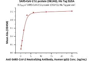 ELISA image for SARS-CoV-2 Spike S1 (D614G) protein (His tag) (ABIN6953175)