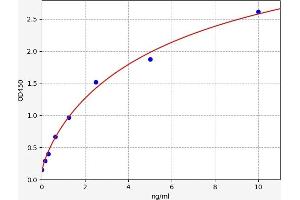 Typical standard curve (NR1H2 ELISA 试剂盒)