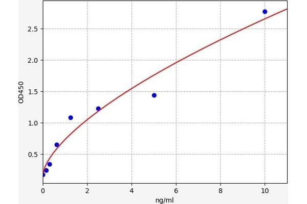 Glutamate Receptor 1 ELISA 试剂盒