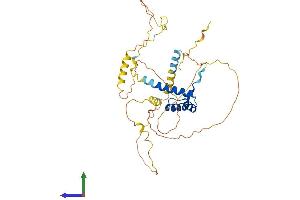 Protein Structure (PS) image for NK2 Homeobox 3 (NKX2-3) (AA 1-362) protein (His tag) (ABIN7556785)