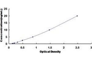 Typical standard curve (DNAH11 ELISA 试剂盒)