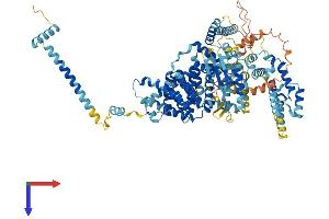 SNX13 Protein (AA 1-957) (His tag)