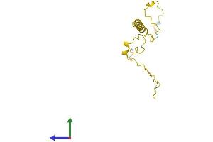 Protein Structure (PS) image for Transition Protein 2 (During Histone To Protamine Replacement) (TNP2) (AA 1-117) protein (His tag) (ABIN7562837)