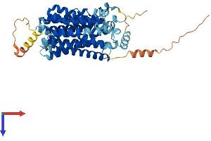 Protein Structure (PS) image for Solute Carrier Family 17 (Anion/Sugar Transporter), Member 4 (SLC17A4) (AA 1-497) protein (His tag) (ABIN7555343)