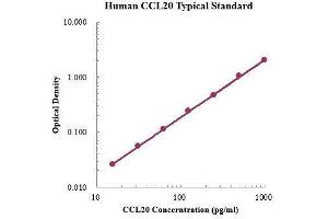 ELISA image for Chemokine (C-C Motif) Ligand 20 (CCL20) ELISA Kit (ABIN3198408)