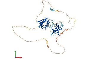 Protein Structure (PS) image for Pleckstrin Homology Domain Containing Family A2 (PLEKHA2) (AA 1-425) protein (His tag) (ABIN7561446)