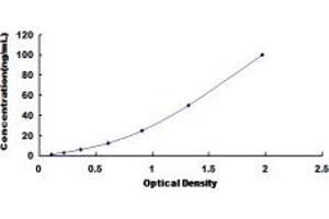 Typical standard curve (MAPK14 ELISA 试剂盒)