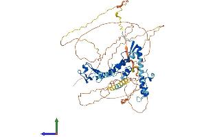Protein Structure (PS) image for Cysteine-Serine-Rich Nuclear Protein 3 (CSRNP3) (AA 1-597) protein (His tag) (ABIN7556538)