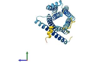 AlphaFold protein structure predicition of Human Recombinant TAS2R16 Protein, UniprotID Q9NYV7