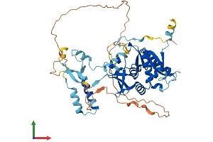 Protein Structure (PS) image for tRNA-splicing Endonuclease Subunit SEN2 (TSEN2) (AA 1-460) protein (His tag) (ABIN7564093)