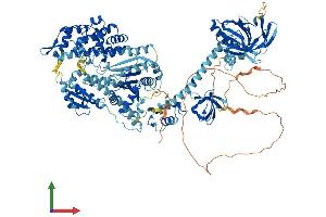 AlphaFold protein structure predicition of Human Recombinant MYO1E Protein, UniprotID Q12965