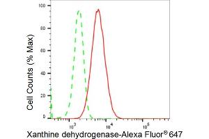 Flow cytometric analysis of Xanthine dehydrogenase expression in HepG2 cells using Xanthine dehydrogenase antibody (ABIN7800881), 1:2,000). (Recombinant XDH 抗体)