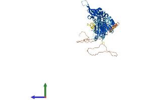 Protein Structure (PS) image for Cyclin M4 (CNNM4) (AA 1-775) protein (His tag) (ABIN7553512)